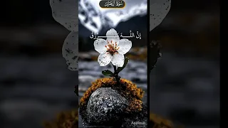 سورة ال عمران كلما دخل عليها زكريا المحراب للشيخ سيد سعيد 