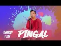 Download Lagu DENNY CAKNAN - PINGAL (1 JAM NONSTOP)