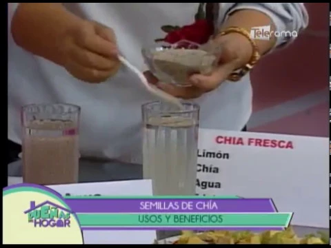 Semillas de chía usos y beneficios