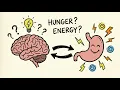 Why Ancient Humans Rarely Ate Breakfast (And Thrived Anyway)