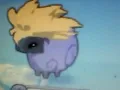 purple sheep cloak on aj