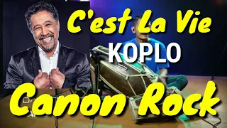 C'est la vie khaled song viral tiktok