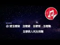 [原版伴奏] 周華健 齊豫 天下有情人 (KTV 純音樂伴奏)