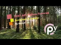 REST API Python to build extend test and learn REST API service or microservice
