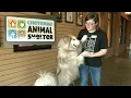 Cheyenne Animal Shelter cuts dog adoption fees to 26 27 through Aug 9