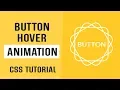 Cool Button Hover Animation CSS CSS Button Hover Effect CSS Tutorial