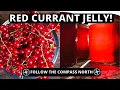 Download Lagu Making Fresh Red Currant Jelly (Step by Step)