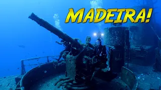 Madeira Dive Expedition! | BLUE WORLD DOCUMENTARY