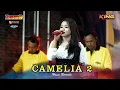 Download Lagu CAMELIA 2 - HASNI NIRMALA - ZENATA MUSIK x PW AUDIO PRO LIVE GENENG NGAWI