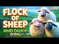 Flock of Sheep Bounce Irish Dance Party Song for Kids