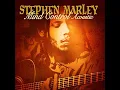 The Mission (Acoustic Version) (feat. Damian Marley) - Stephen Marley