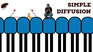 Simple Diffusion