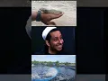 Download Lagu ingat, kain kafan tidak ada sakunya