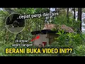 Download Lagu ORANG MISTERIUS BIKIN TAKUT!! TINGGAL DI RUMAH YANG TIDAK MASUK AKAL UNTUK DI PERCAYA
