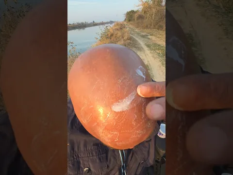 ये सर में क्या लगा लिया। सारा सर जल गया 🤒🤒 #hairstyle #hairloss #india