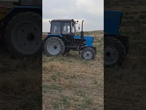Ohangaronda lalmida yerga ishlov berilmasdan bug'doy ekilmoqda 11 oktabr 2026