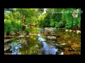 Download Lagu SUARA ALAM AIR SUNGAI MENGALIR DAN KICAUAN BURUNG (10 MENIT LANGSUNG TIDUR)!!!!!