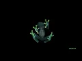 Dog Blood - BREAK LAW [Official Audio]