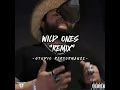 Wild Ones (Remix) - Ryan Flock