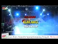 Download Lagu Findi Lida Indosiar - Ilalang - EXA MUSIC LAMPUNG TENGAH
