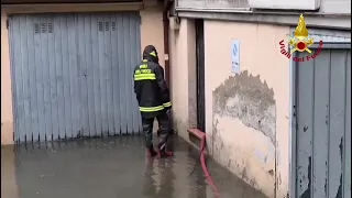                     دندنها