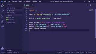 OpenCV Resizing Images in Python