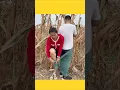 Download Lagu Kwai Funny tiktok: Funny Videos 2025 Chinese Funny Video 🤣 #shorts  #funny #comedy