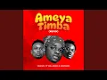 Download Lagu Ameyatimba (Remix)