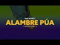 BAD BUNNY - ALAMBRE PúA (Video Lyrics)