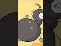 🥚Queen Ant lays a big egg🥚 #shorts #fyp [MOST VIEWED SHORTS]