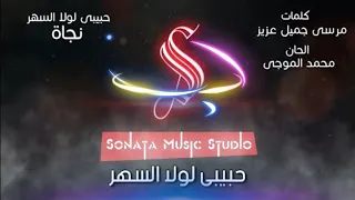 حبيبى لولا السهر نجاة كاريوكى موسيقى بالكلمات Karaoky With Lyrics 