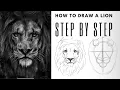 Easy Step by Step Guide for Drawing a Realistic Lion