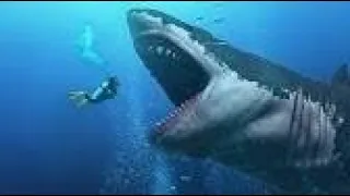القرش الابيض فيلم الاكشن الافضل في تاريخ افلام القرش مترجم كامل 2022 Swam 