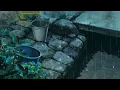 COSMONKEY - Rainy