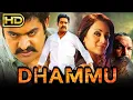 Lagu Dhammu (Full HD) - Jr. NTR Superhit Action Hindi Dubbed Movie | Trisha Krishnan, Karthika Nair