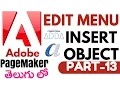 Adobe Page maker in Telugu 13 Edit Menu-Insert Object www computersadda com