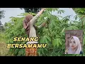 Download Lagu SENANG BERSAMAMU - DEVIA ELINA  - Eko samuhudi -De #lagu #music #lirick