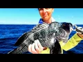 Fire Island Great South Bay Fishing Forecast July 28th 29th and 30th w Captain Al Lorenzetti