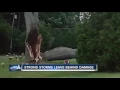 Strong storms in Campbellsport leave behind damage