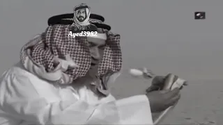 أبو عقاب 