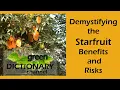 Demystifying the Starfruit Benefits and Risks