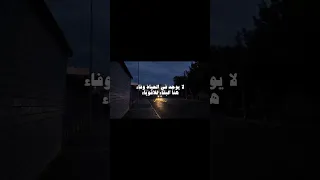 لا يوجد في الحياة وفاء هنا البقاء للاقوياء اغاني بدون موسيقى اغاني 