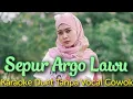 Download Lagu Sepur Argo lawu Karaoke Duet Tanpa Vocal Cowok|| Sepur Argolawu Karaoke untuk cowok