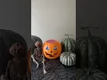 Download Lagu Halloween DIY #halloweenpartyideas #halloween