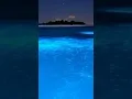 Download Lagu The Sea of Stars: An Annual Bioluminescent Phenomenon part 2