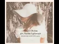 Piensa en Mí (feat. Vicentico) - Natalia Lafourcade