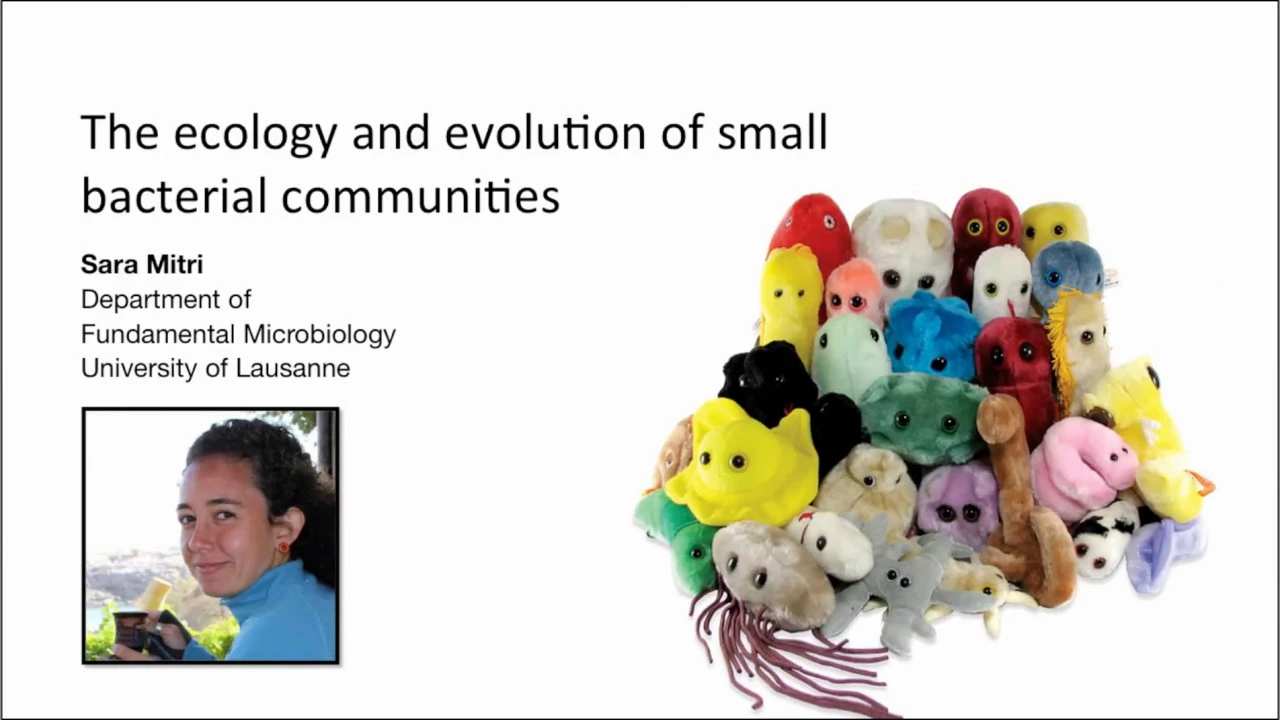 Sara Mitri: The ecology and evolution of small bacterial communities