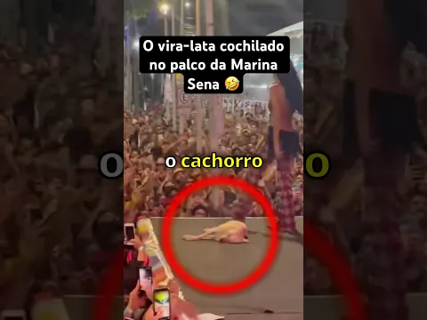 Marina Sena faz show com CACHORRO DORMINDO no palco..