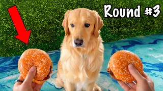 Can YOU Tell Which Is REAL? (99% FAIL)