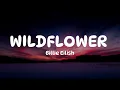 Billie Eilish - WILDFLOWER (Lyrics)